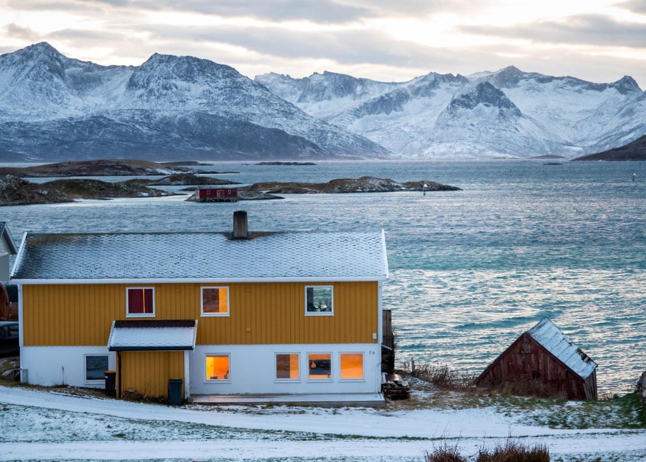 Sommaroya Beach Apartment Tromsø Exteriör bild