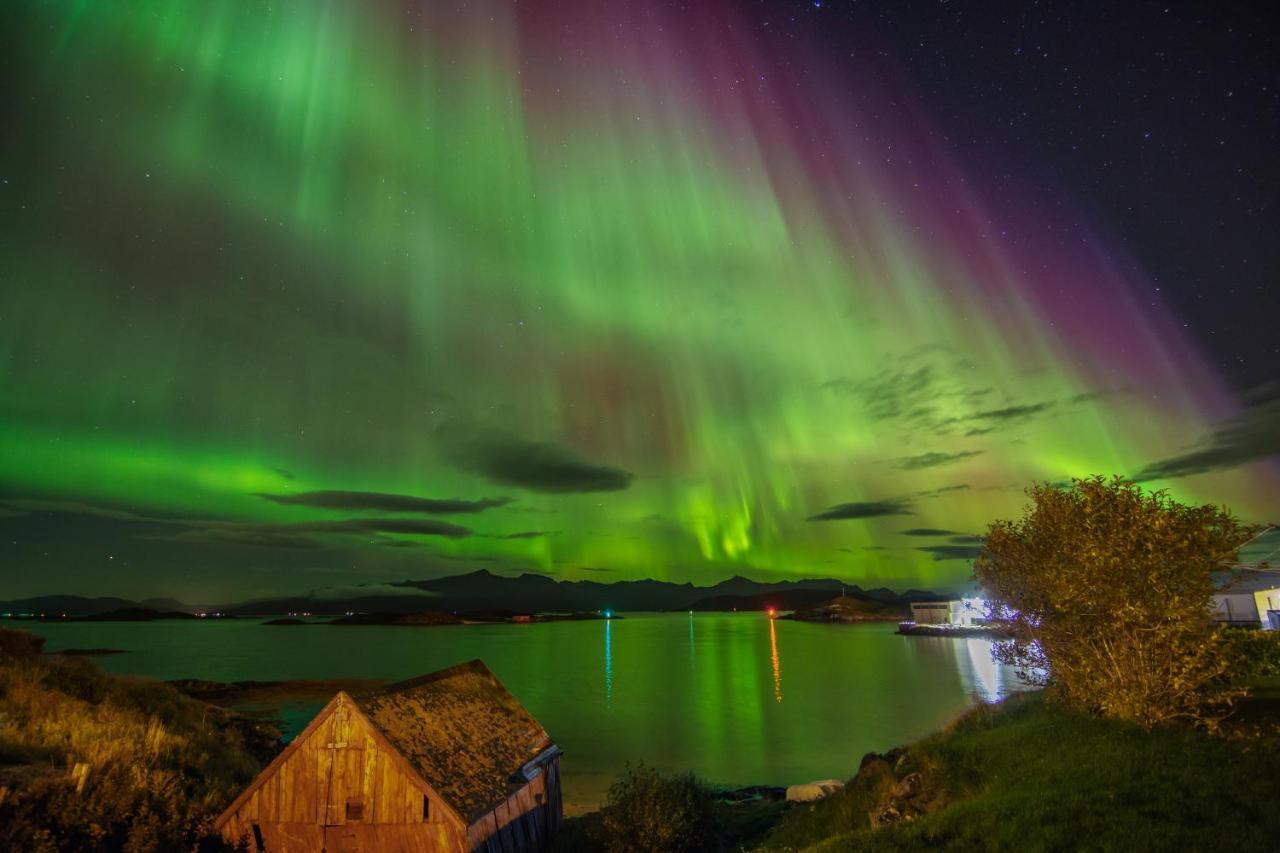 Sommaroya Beach Apartment Tromsø Exteriör bild