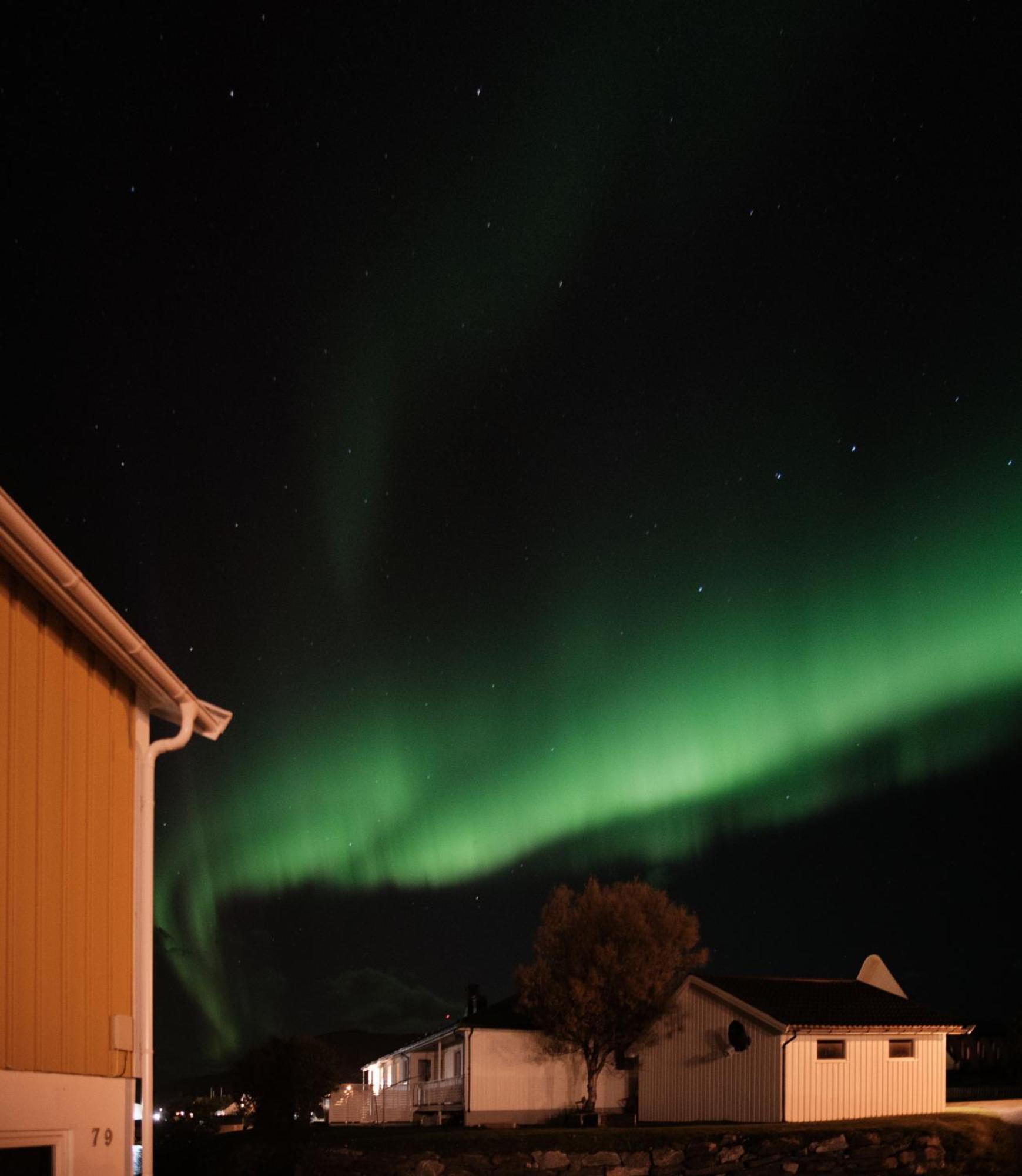 Sommaroya Beach Apartment Tromsø Exteriör bild